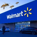 Walmart подорожал на 10% после новостей об увеличении онлайн-продаж