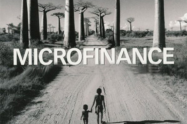 Деятельность микрофинансовых организаций – есть ли польза?