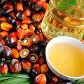 В этом году Россия начала снижать импорт пальмового масла