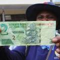 Зимбабве перешла на суррогатную валюту из-за нехватки долларов